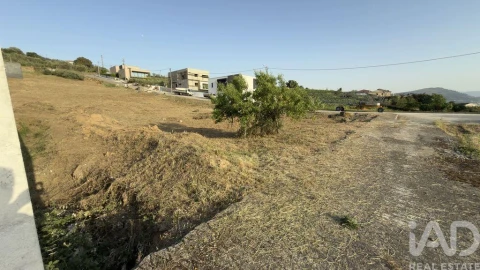 Terreno para Venda em Poiares e Canelas