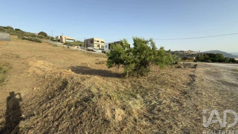 Terreno para Venda em Poiares e Canelas