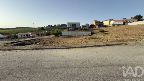 Terreno para Venda em Poiares e Canelas