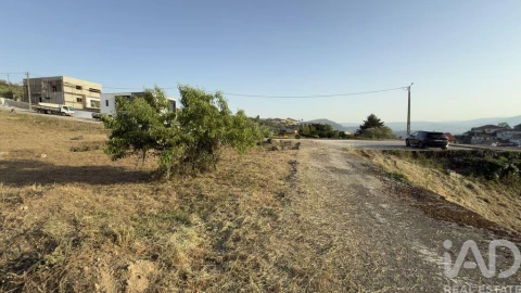 Terreno para Venda em Poiares e Canelas