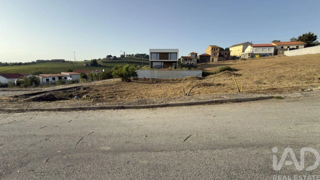 Terreno para Venda em Poiares e Canelas Foto 19