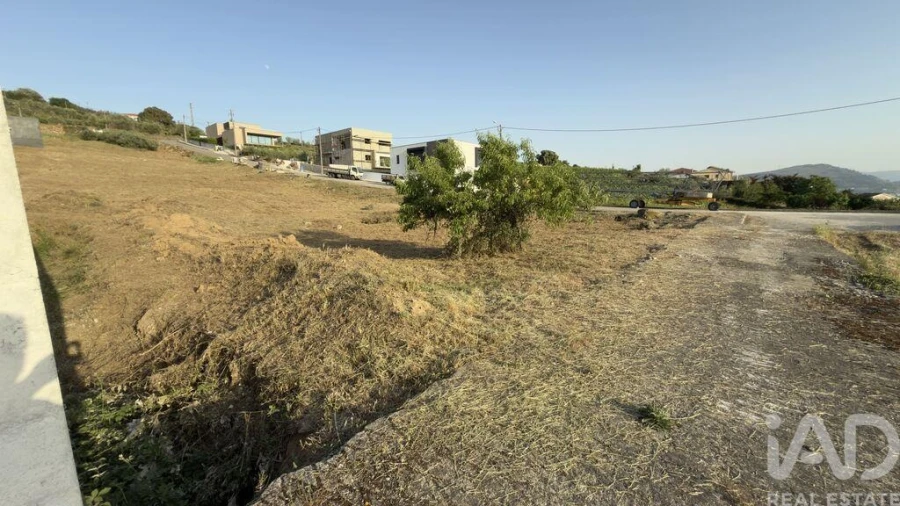 Terreno para Venda em Poiares e Canelas Foto 12