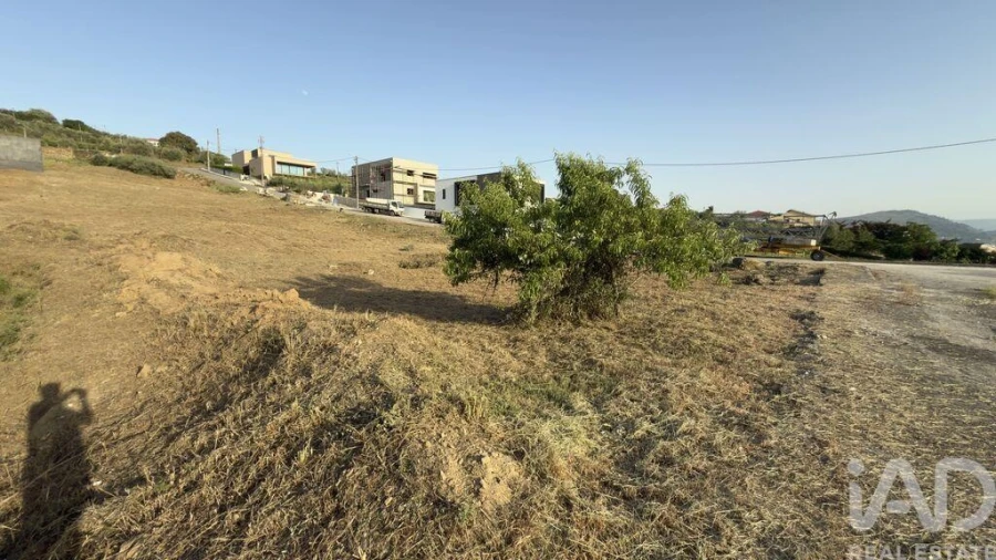 Terreno para Venda em Poiares e Canelas Foto 18