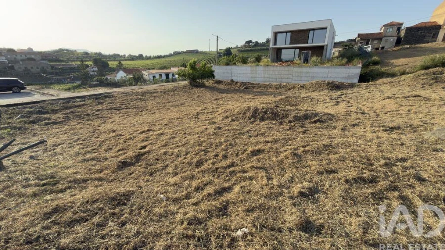 Terreno para Venda em Poiares e Canelas Foto 17