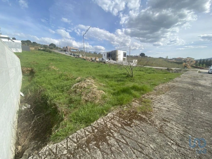 Terreno para Venda em Poiares e Canelas Foto 2