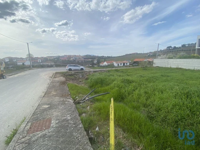 Terreno para Venda em Poiares e Canelas Foto 8