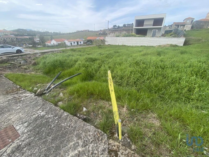 Terreno para Venda em Poiares e Canelas Foto 7