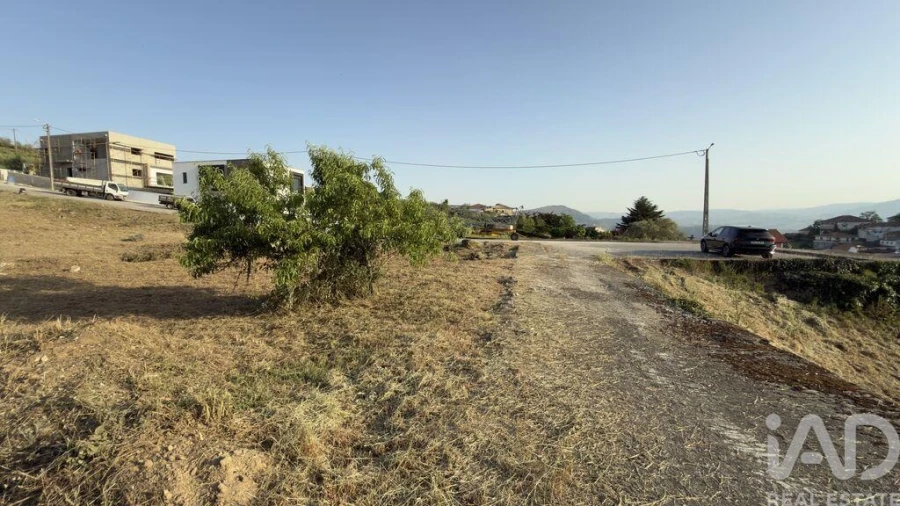 Terreno para Venda em Poiares e Canelas Foto 20