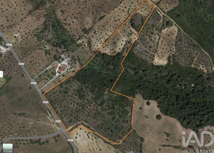 Moradia T3 para Venda em Pernes Foto 25