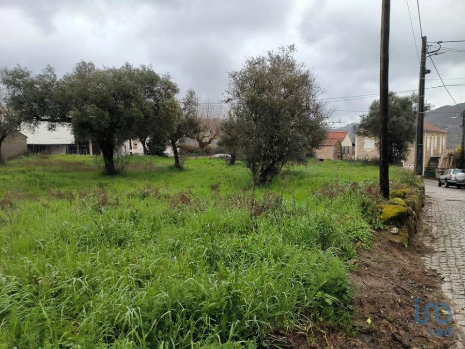 Terreno para Venda em Maçainhas Foto 10