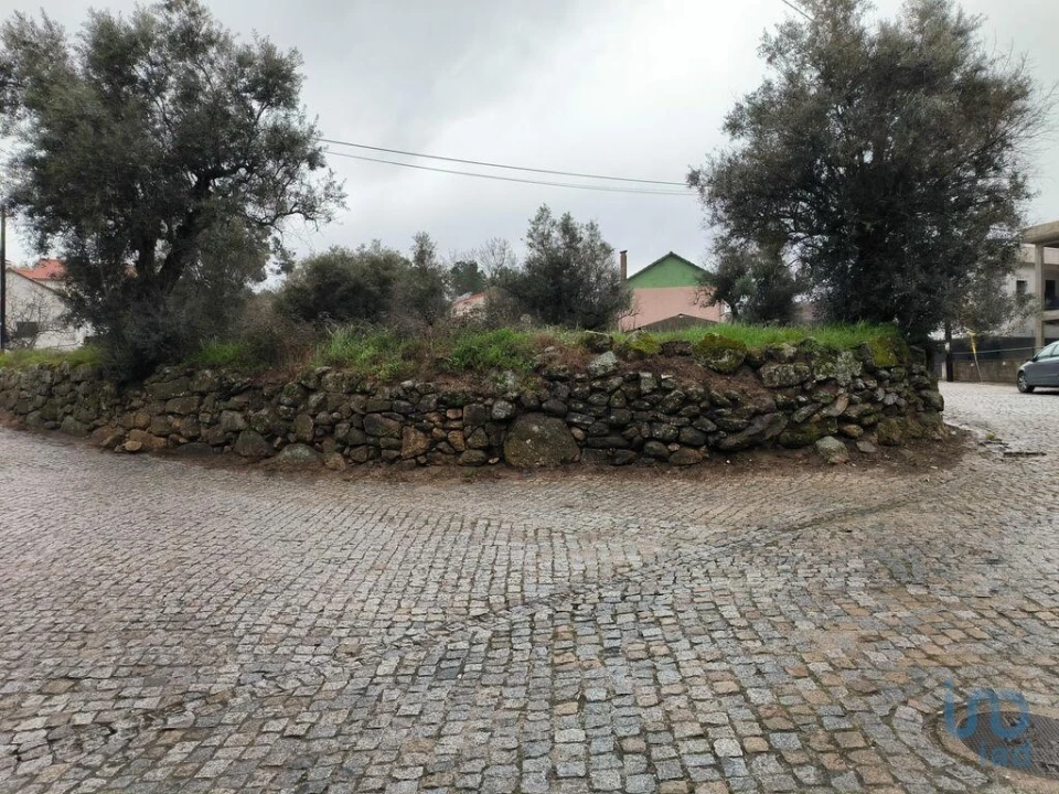 Terreno para Venda em Maçainhas Foto 7