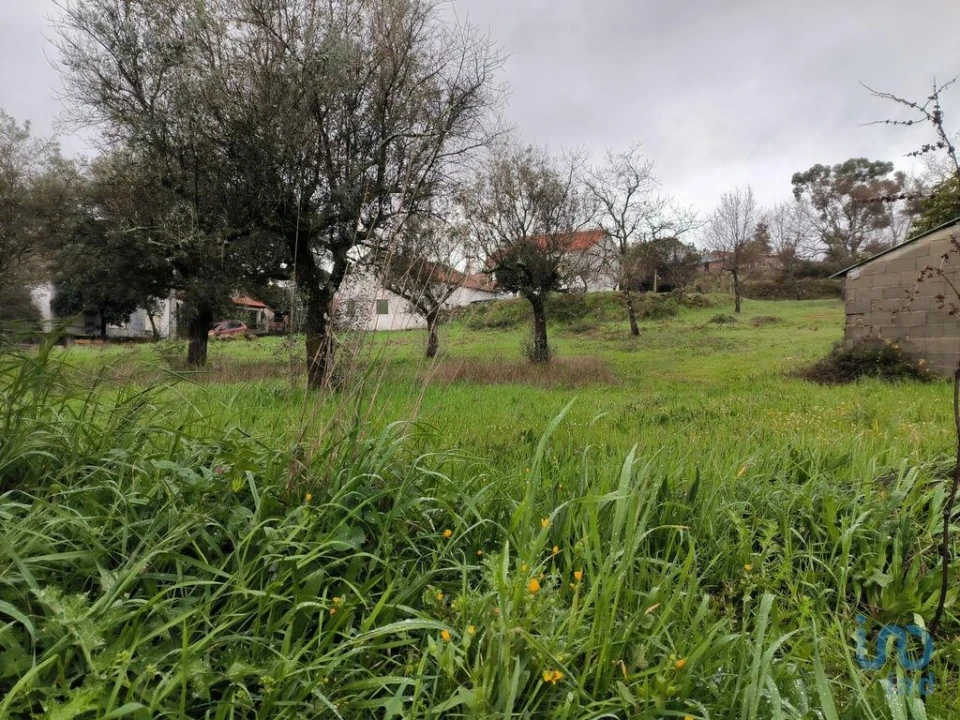 Terreno para Venda em Maçainhas Foto 14