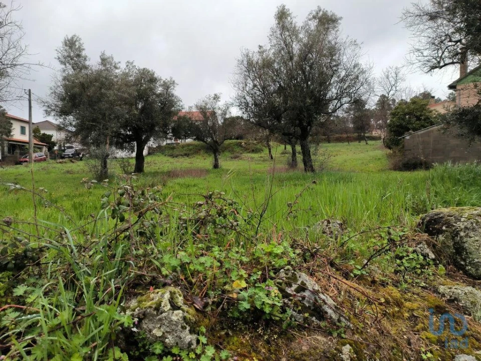 Terreno para Venda em Maçainhas Foto 15