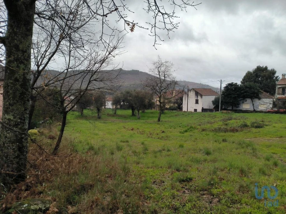 Terreno para Venda em Maçainhas Foto 13