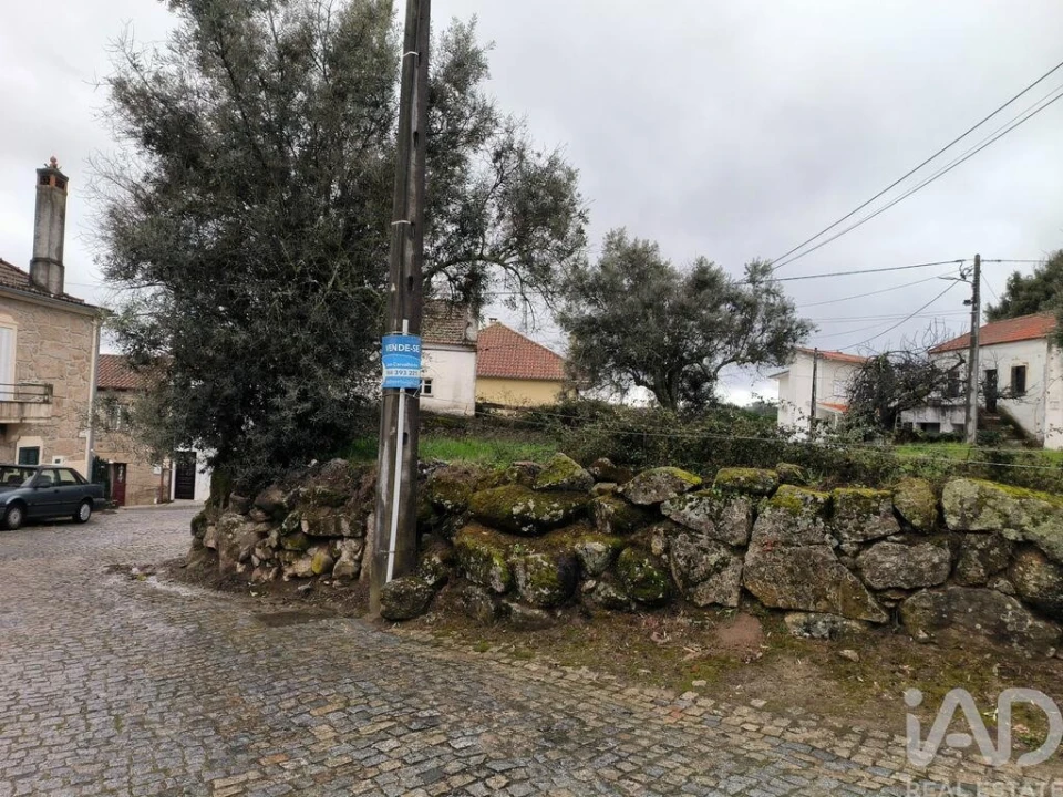 Terreno para Venda em Maçainhas Foto 16