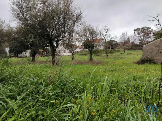 Terreno para Venda em Maçainhas Foto 14