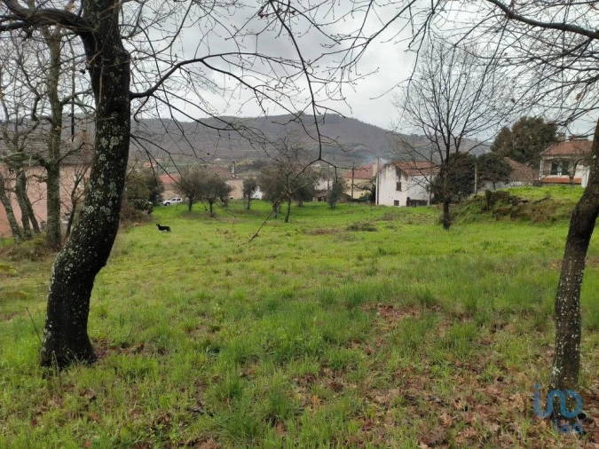 Terreno para Venda em Maçainhas Foto 12