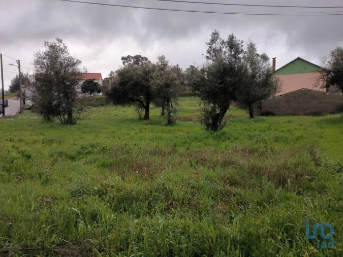 Terreno para Venda em Maçainhas Foto 8