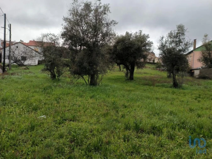 Terreno para Venda em Maçainhas Foto 9
