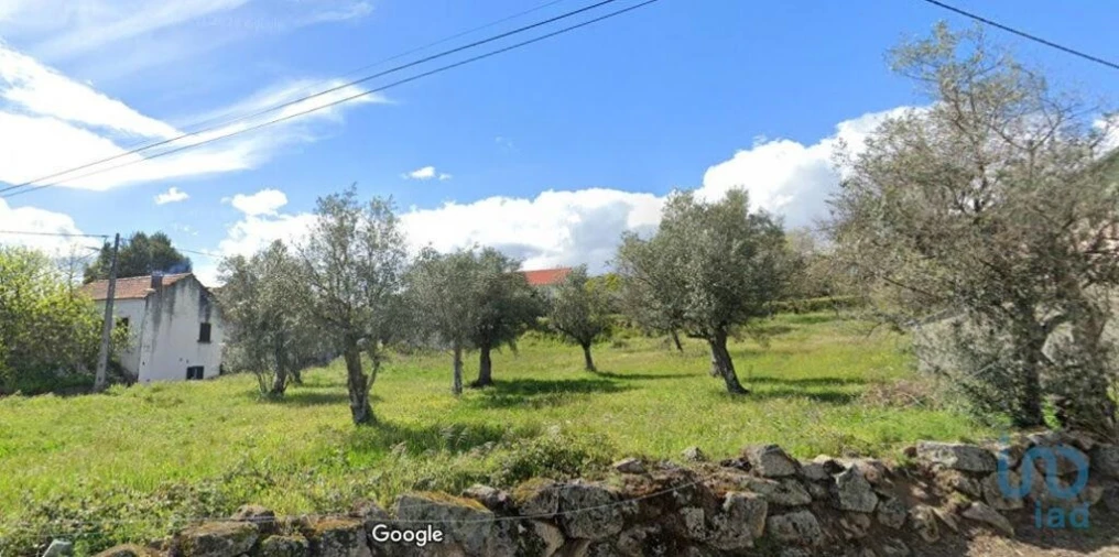Terreno para Venda em Maçainhas Foto 6