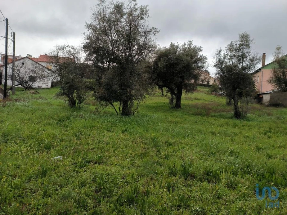 Terreno para Venda em Maçainhas Foto 9