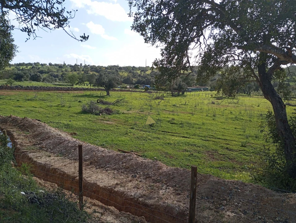 Terreno para Venda em Albufeira e Olhos de Água Foto 4