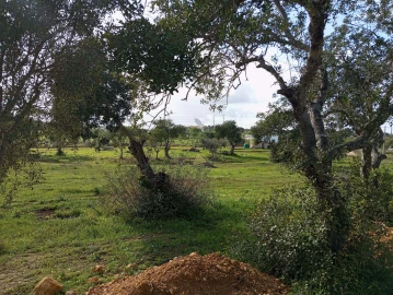 Terreno para Venda em Albufeira e Olhos de Água