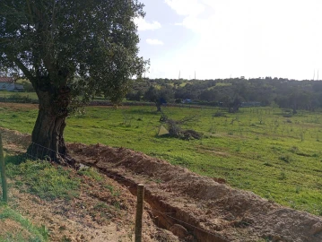 Terreno para Venda em Albufeira e Olhos de Água