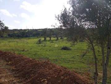 Terreno para Venda em Albufeira e Olhos de Água