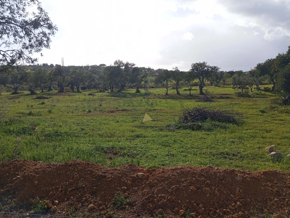 Terreno para Venda em Albufeira e Olhos de Água Foto 7