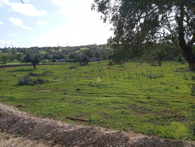 Terreno para Venda em Albufeira e Olhos de Água Foto 6