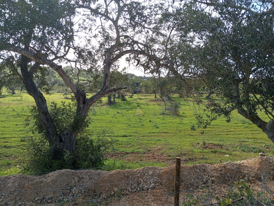 Terreno para Venda em Albufeira e Olhos de Água Foto 3