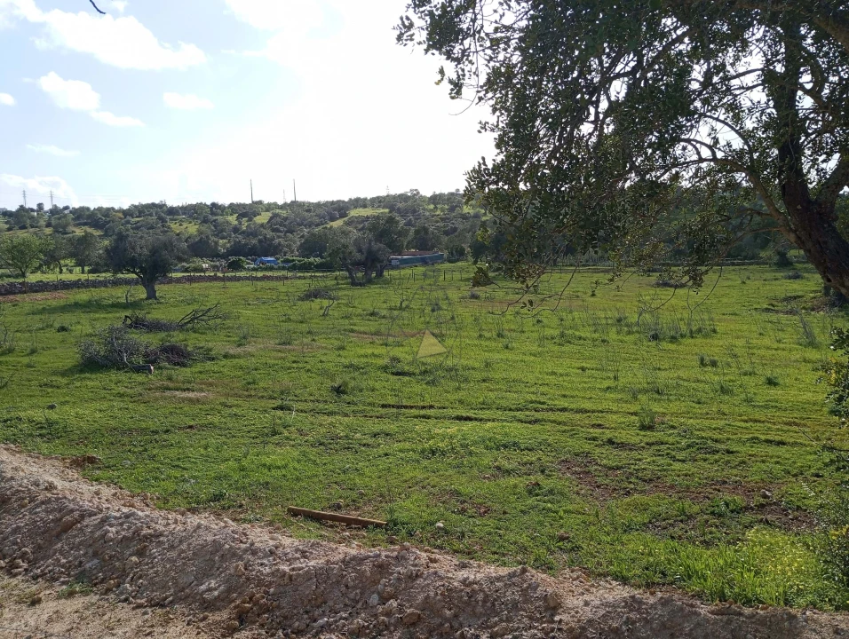 Terreno para Venda em Albufeira e Olhos de Água Foto 6