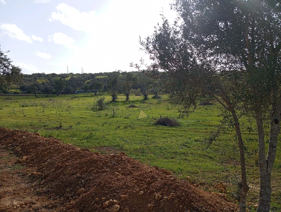 Terreno para Venda em Albufeira e Olhos de Água Foto 10