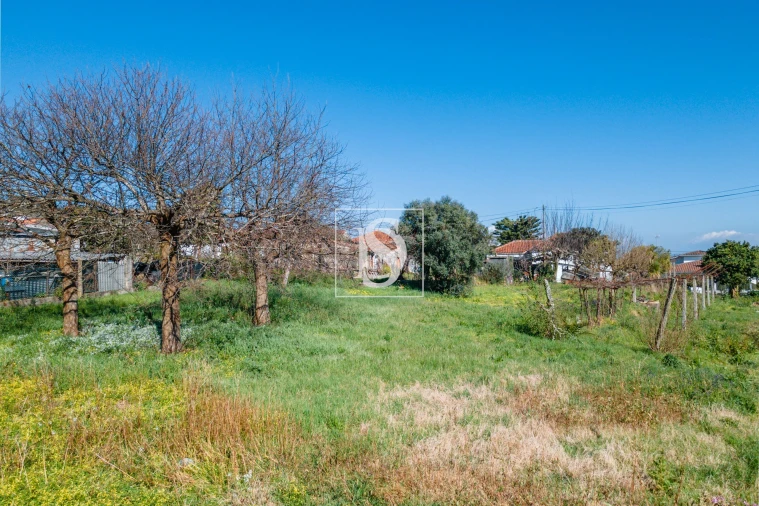 Moradia T4 para Venda em Galegos (Santa Maria) Foto 31