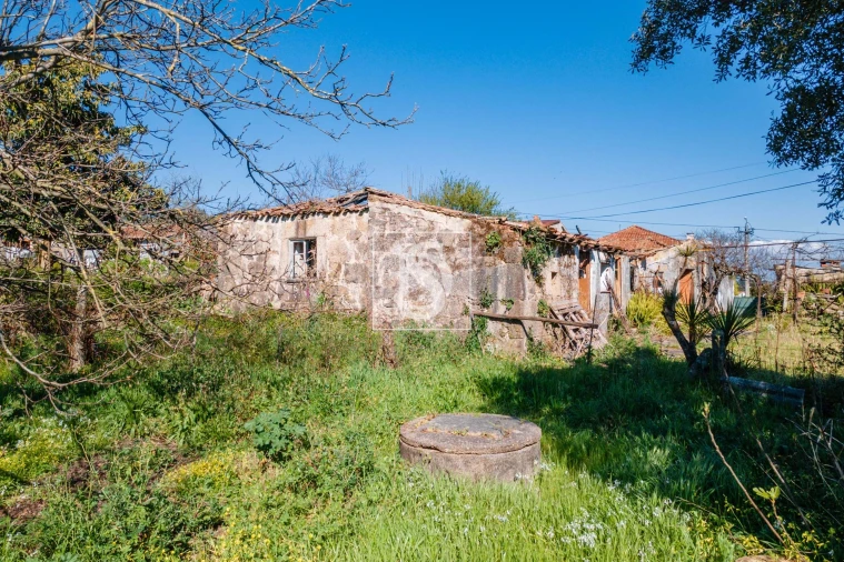 Moradia T4 para Venda em Galegos (Santa Maria) Foto 30