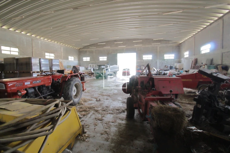 Armazém para Venda em Santiago de Piães Foto 8