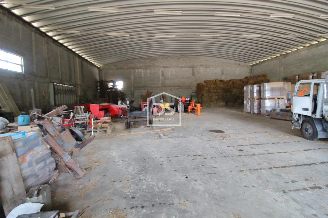 Armazém para Venda em Santiago de Piães Foto 7