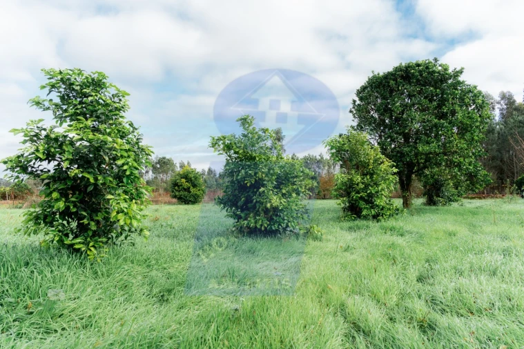 Moradia T5 para Venda em Covões e Camarneira Foto 30