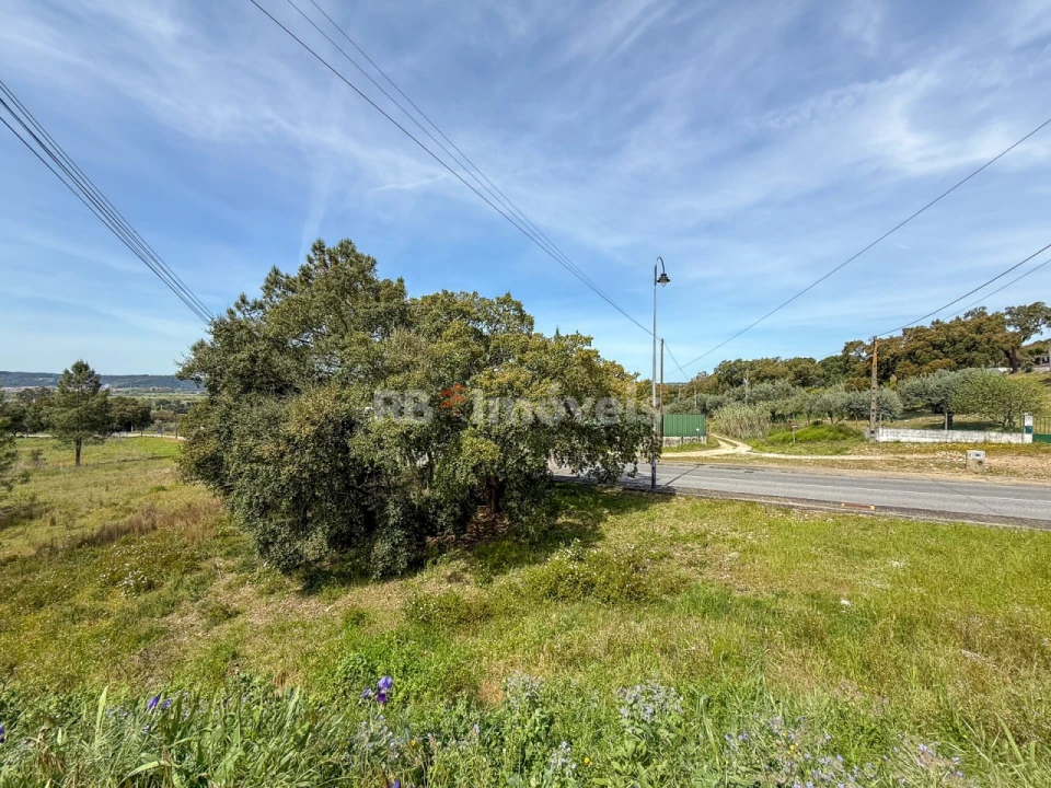 Terreno para Venda em Pego Foto 7