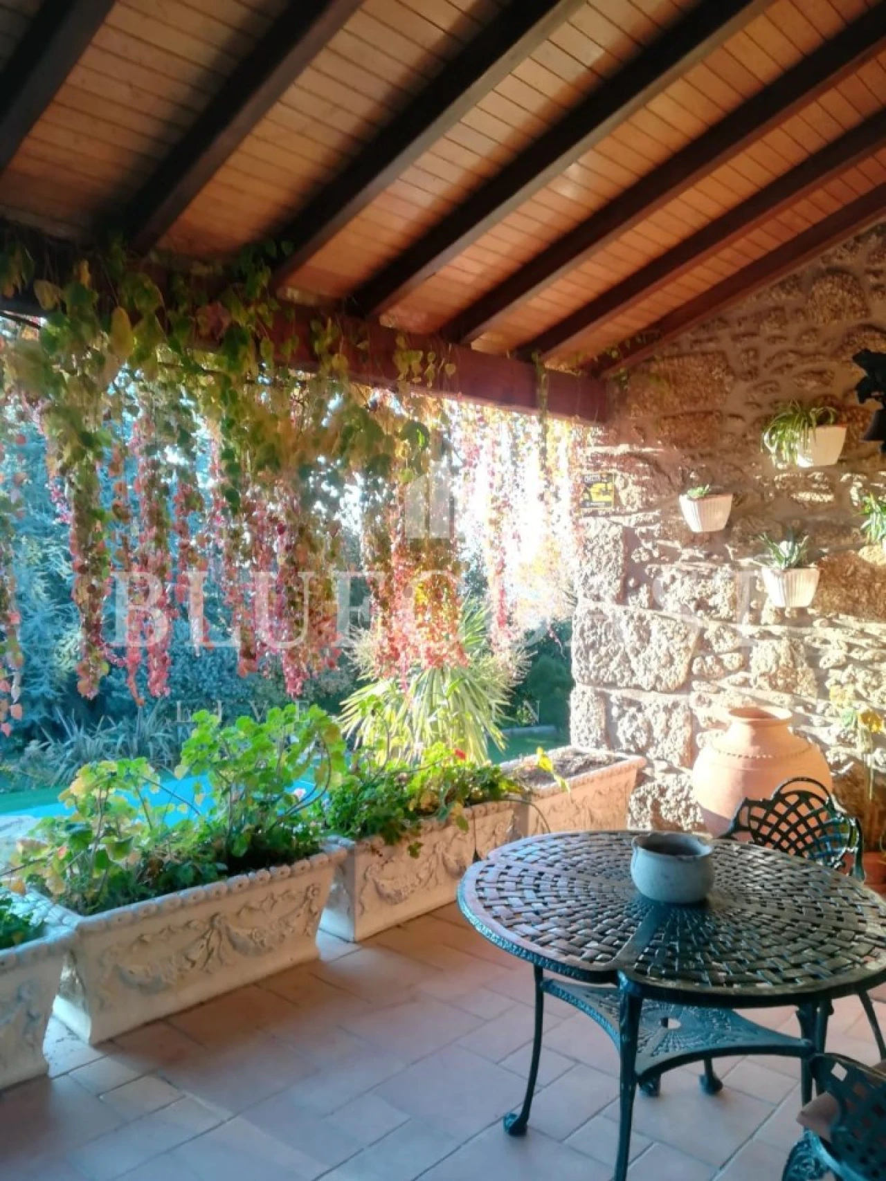 Quinta T4 para Venda em Moimenta da Serra e Vinhó Foto 9