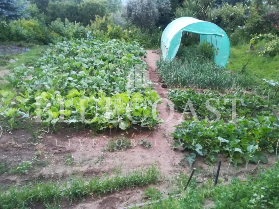 Quinta T4 para Venda em Moimenta da Serra e Vinhó Foto 28