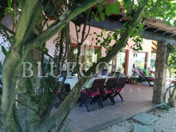 Quinta T4 para Venda em Moimenta da Serra e Vinhó Foto 6