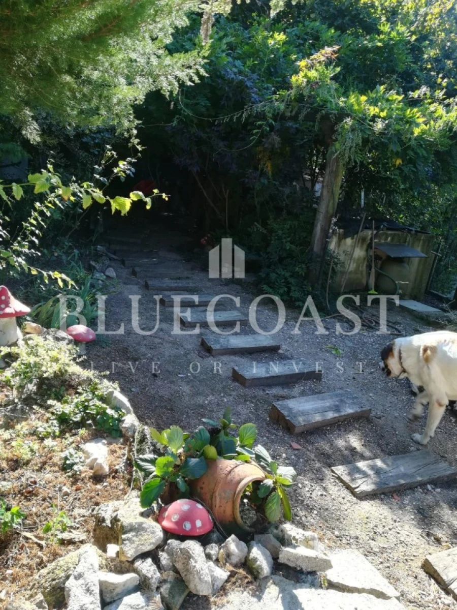 Quinta T4 para Venda em Moimenta da Serra e Vinhó Foto 27