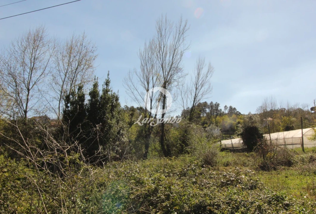 Terreno Agricola ou Rústico para Venda em Silvares (São Martinho) Foto 1