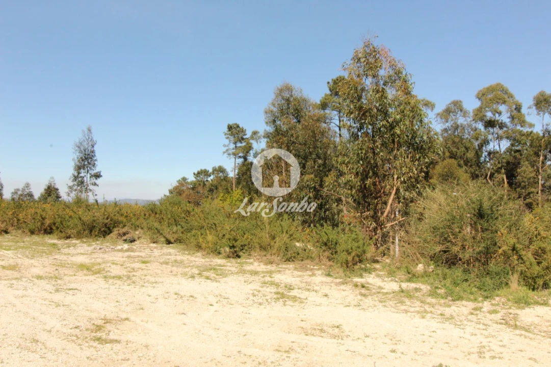 Terreno Agricola ou Rústico para Venda em Silvares (São Martinho) Foto 8
