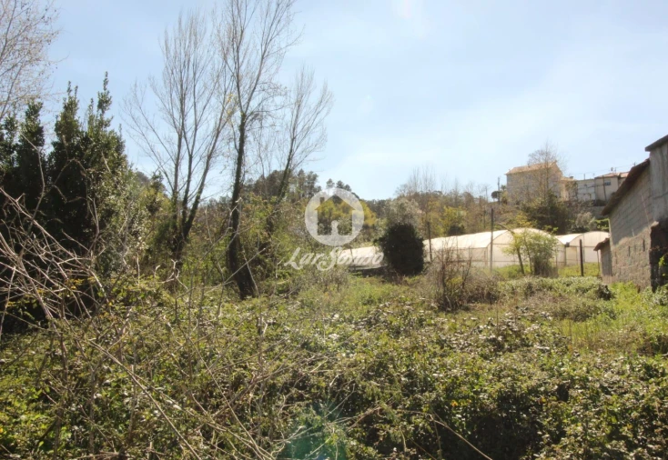Terreno Agricola ou Rústico para Venda em Silvares (São Martinho) Foto 2