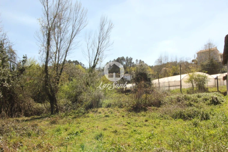 Terreno Agricola ou Rústico para Venda em Silvares (São Martinho) Foto 3