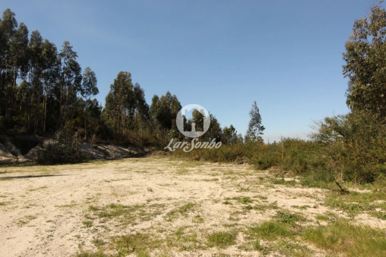 Terreno Agricola ou Rústico para Venda em Silvares (São Martinho) Foto 6