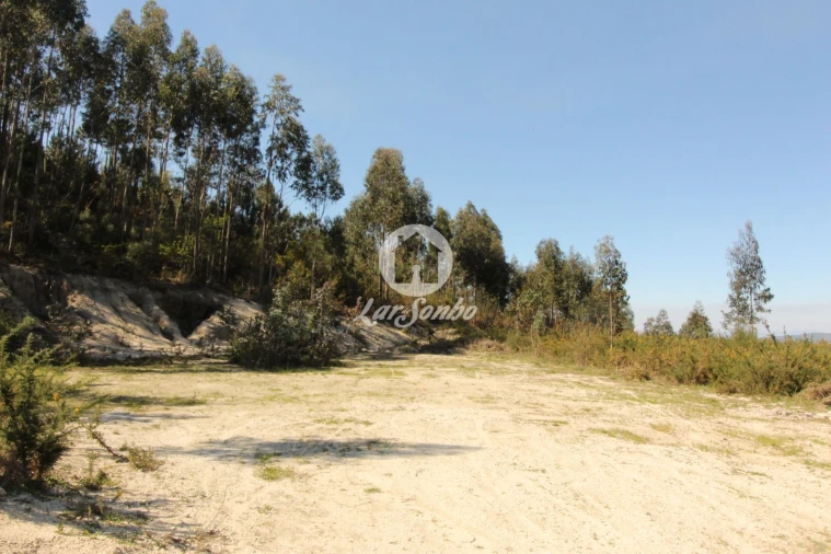 Terreno Agricola ou Rústico para Venda em Silvares (São Martinho) Foto 7